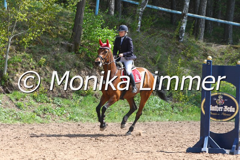 004M1838_Geraldine_Springpferde A xx.JPG